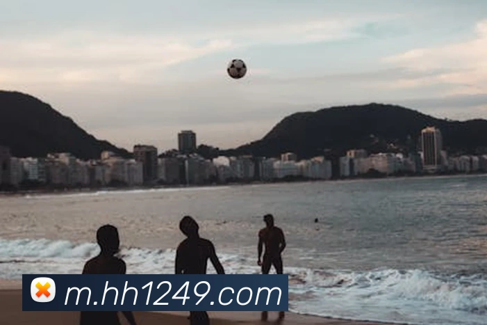 火狐体育官网首页服务体系